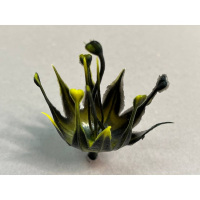 тыч колокольчика черн 75.012